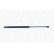 gas spring, trunk ML5776 Monroe, Thumbnail 6