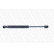 gas spring, trunk ML6104 Monroe, Thumbnail 5