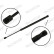Gas spring, trunk ML6508 Monroe, Thumbnail 3