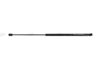 Gas spring, trunk ML6571 Monroe