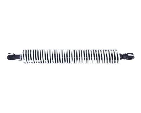 Gas spring, trunk ML6594 Monroe