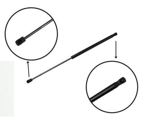 Gas spring, trunk ML6615 Monroe