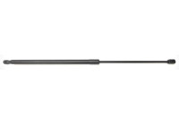 Gas spring, trunk ML9069 Monroe