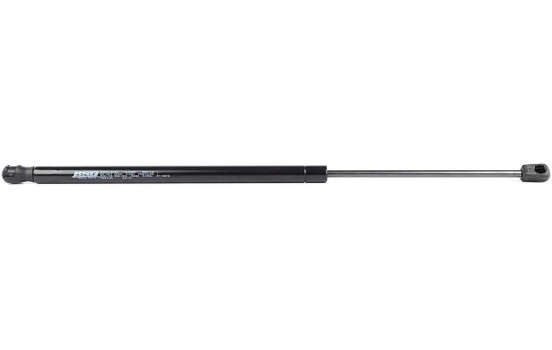 Gas spring, trunk
