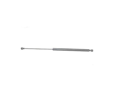 Gas spring, trunk