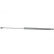 Gas spring, trunk