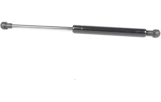 Gas spring, trunk