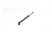 Gas spring, trunk