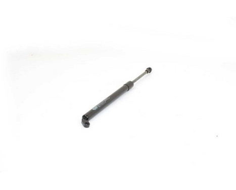 Gas spring, trunk