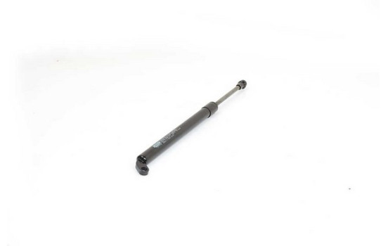 Gas spring, trunk