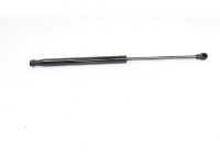 Gas spring, trunk