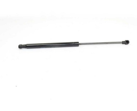 Gas spring, trunk
