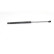 Gas spring, trunk