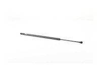 Gas spring, trunk