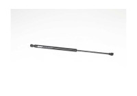Gas spring, trunk