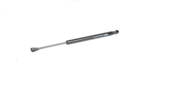 Gas spring, trunk