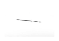 Gas spring, trunk