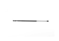 Gas spring, trunk