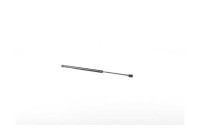 Gas spring, trunk