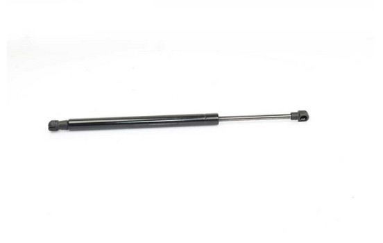 Gas spring, trunk
