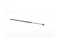 Gas spring, trunk