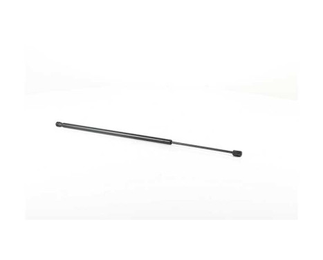 Gas spring, trunk