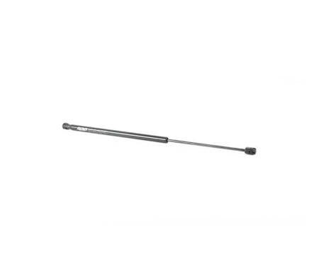 Gas spring, trunk