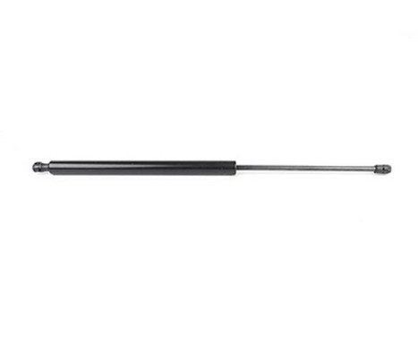Gas spring, trunk