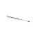 Gas spring, trunk