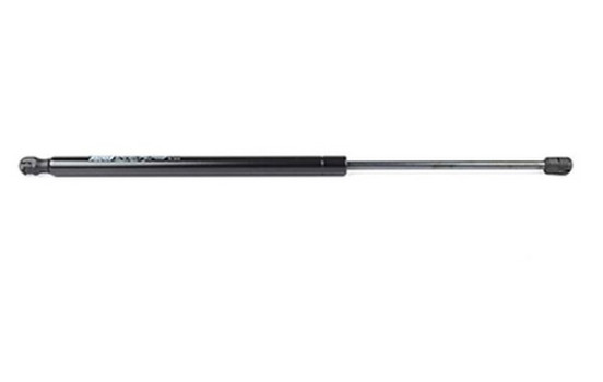 Gas spring, trunk