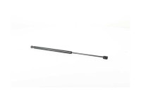 Gas spring, trunk