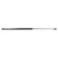 Gas spring, trunk