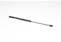 Gas spring, trunk