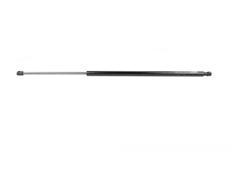 Gas spring, trunk