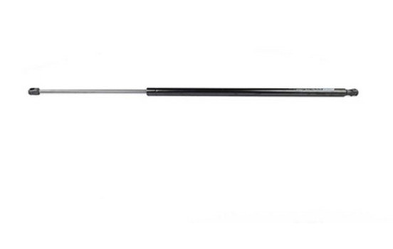 Gas spring, trunk
