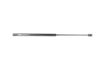 Gas spring, trunk