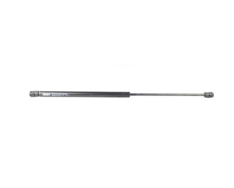 Gas spring, trunk