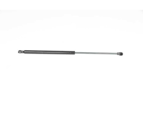 Gas spring, trunk
