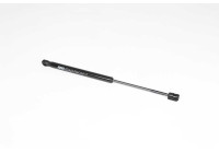 Gas spring, trunk