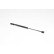 Gas spring, trunk