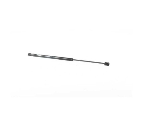 Gas spring, trunk