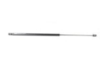 Gas spring, trunk