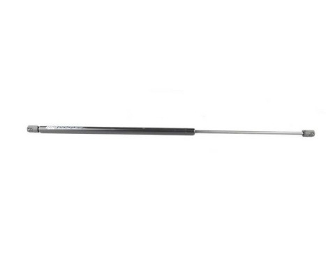 Gas spring, trunk