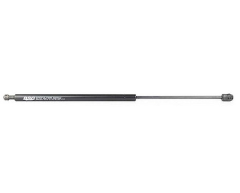 Gas spring, trunk