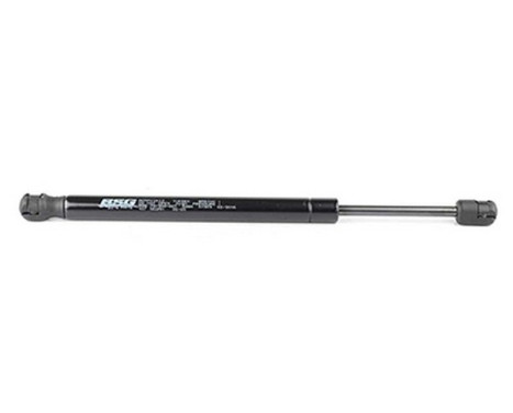 Gas spring, trunk