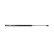 Gas spring, trunk