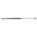 Gas spring, trunk