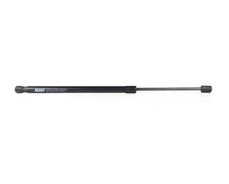 Gas spring, trunk