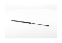 Gas spring, trunk