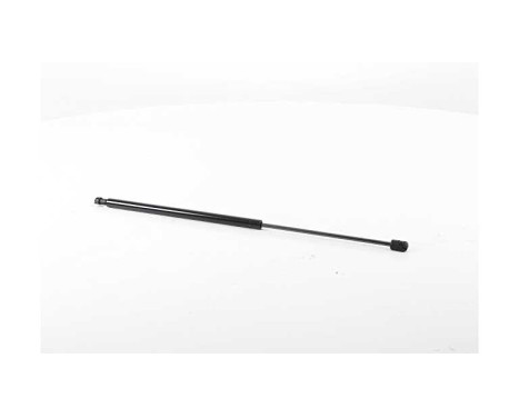 Gas spring, trunk